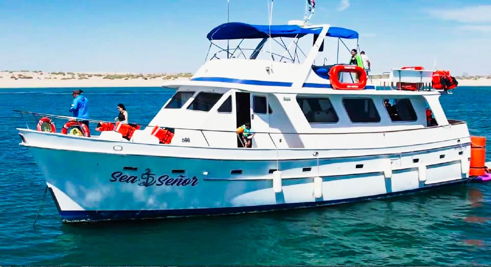 PARTY-BOAT2 PARTY-BOAT2